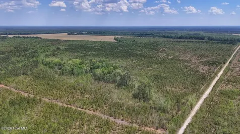 0 Guinea Mill Road Ernul NC 28527