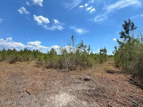 0 Guinea Mill Road Ernul NC 28527