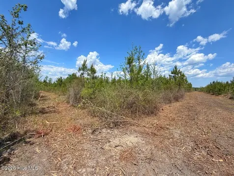 0 Guinea Mill Road Ernul NC 28527