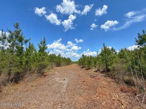 0 Guinea Mill Road Ernul NC 28527