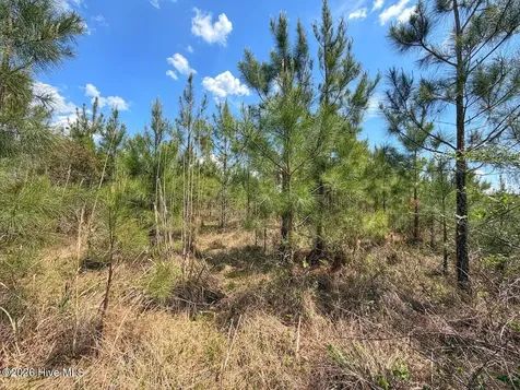 0 Guinea Mill Road Ernul NC 28527