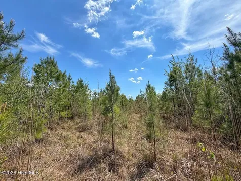0 Guinea Mill Road Ernul NC 28527