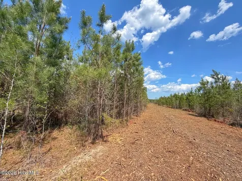 0 Guinea Mill Road Ernul NC 28527