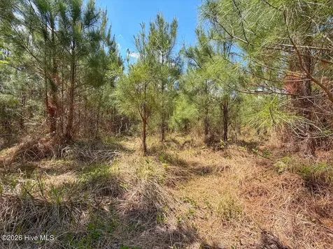0 Guinea Mill Road Ernul NC 28527