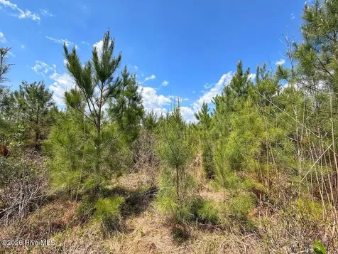 0 Guinea Mill Road Ernul NC 28527