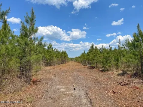 0 Guinea Mill Road Ernul NC 28527