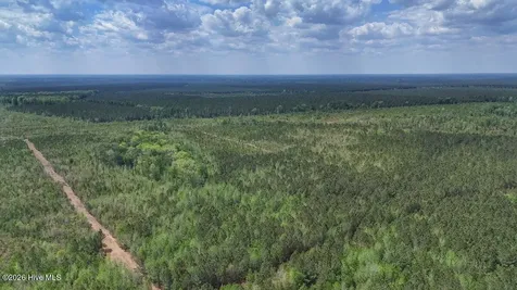 0 Guinea Mill Road Ernul NC 28527