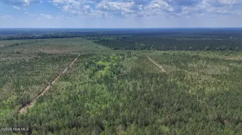 0 Guinea Mill Road Ernul NC 28527