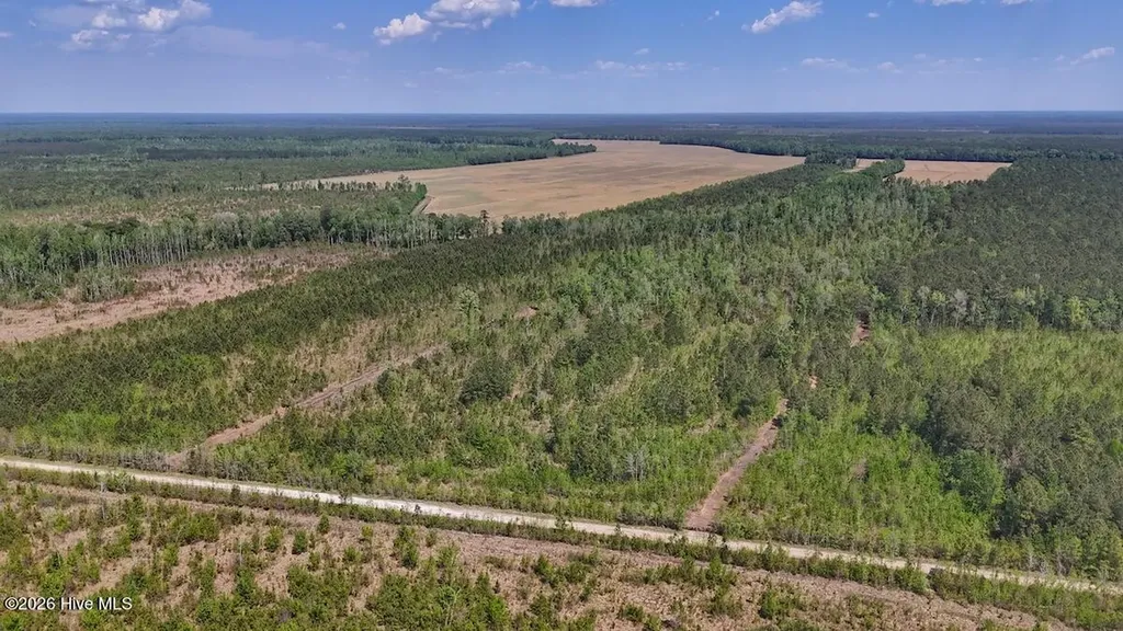 0 Guinea Mill Road Ernul NC 28527