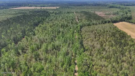 0 Guinea Mill Road Ernul NC 28527