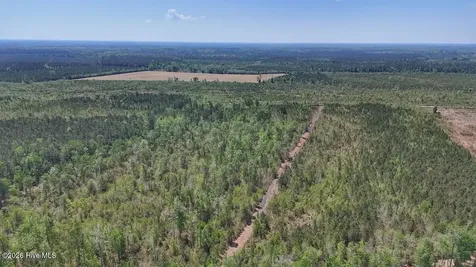 0 Guinea Mill Road Ernul NC 28527