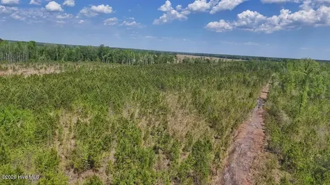 0 Guinea Mill Road Ernul NC 28527