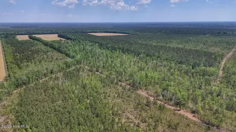 0 Guinea Mill Road Ernul NC 28527