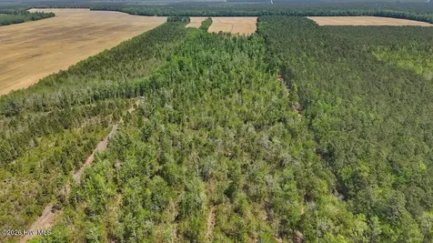 0 Guinea Mill Road Ernul NC 28527