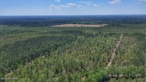 0 Guinea Mill Road Ernul NC 28527