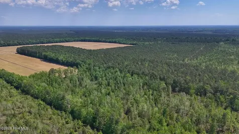 0 Guinea Mill Road Ernul NC 28527