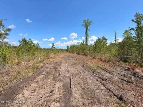 0 Guinea Mill Road Ernul NC 28527