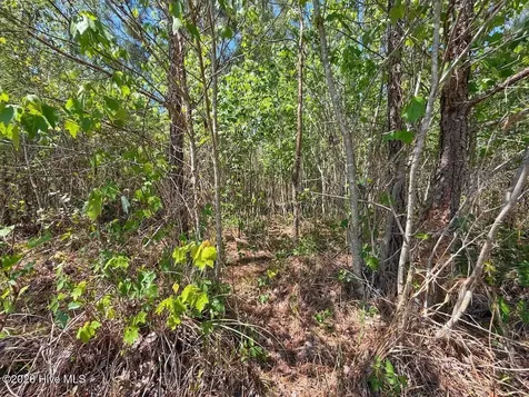 0 Guinea Mill Road Ernul NC 28527