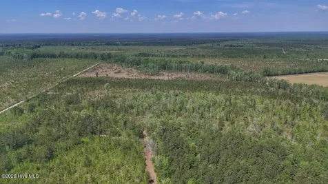 0 Guinea Mill Road Ernul NC 28527