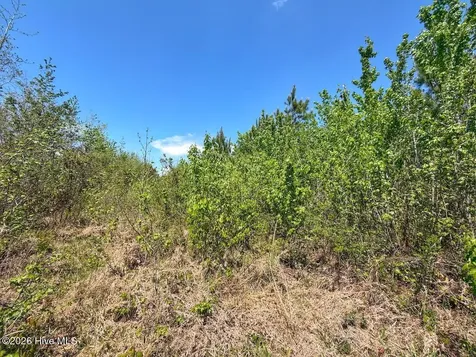 0 Guinea Mill Road Ernul NC 28527