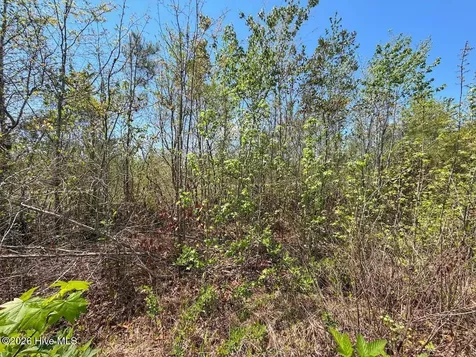 0 Guinea Mill Road Ernul NC 28527