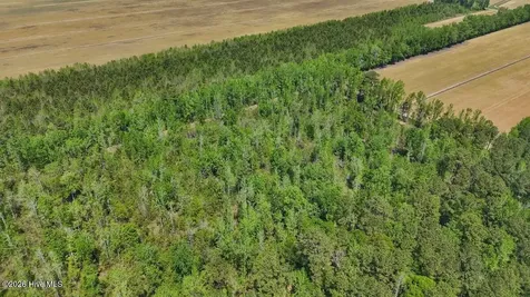 0 Guinea Mill Road Ernul NC 28527