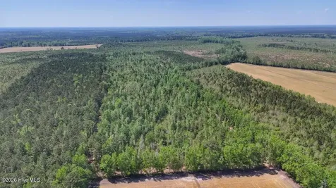 0 Guinea Mill Road Ernul NC 28527