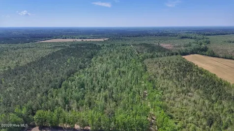 0 Guinea Mill Road Ernul NC 28527