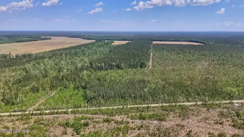 0 Guinea Mill Road Ernul NC 28527