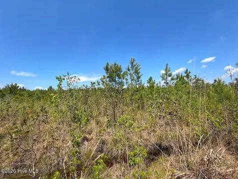 0 Guinea Mill Road Ernul NC 28527