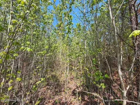 0 Guinea Mill Road Ernul NC 28527