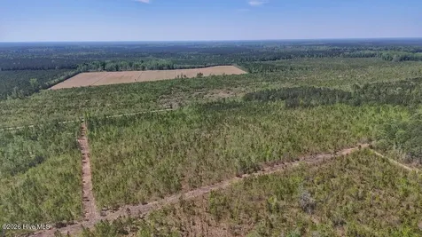 0 Guinea Mill Road Ernul NC 28527