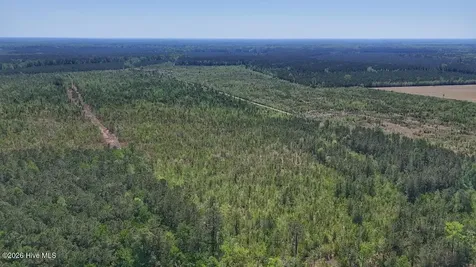 0 Guinea Mill Road Ernul NC 28527