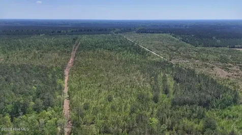 0 Guinea Mill Road Ernul NC 28527
