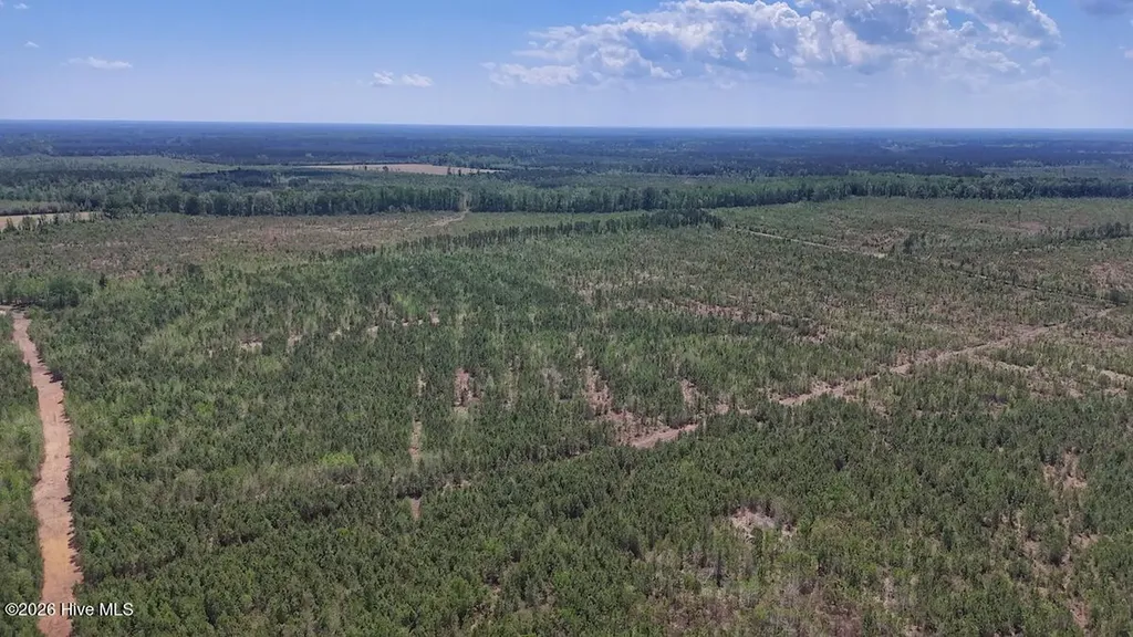 0 Guinea Mill Road Ernul NC 28527