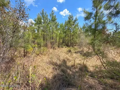 0 Guinea Mill Road Ernul NC 28527