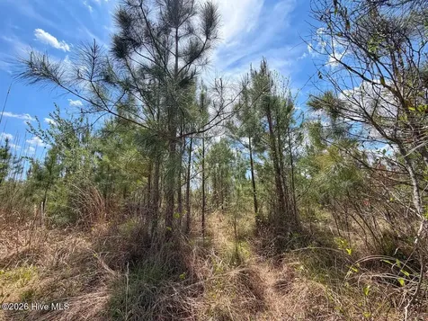 0 Guinea Mill Road Ernul NC 28527