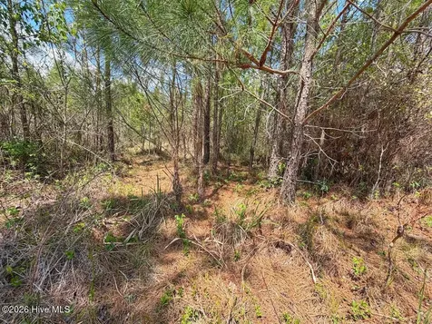 0 Guinea Mill Road Ernul NC 28527