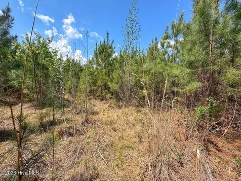 0 Guinea Mill Road Ernul NC 28527