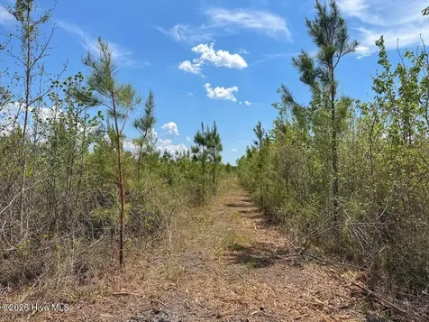 0 Guinea Mill Road Ernul NC 28527