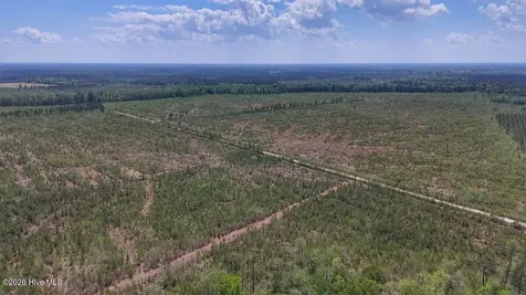 0 Guinea Mill Road Ernul NC 28527