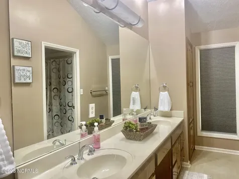 166 Pine Tree Lane Chadbourn NC 28431