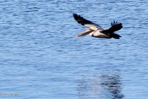 228 Drake Landing New Bern NC 28560