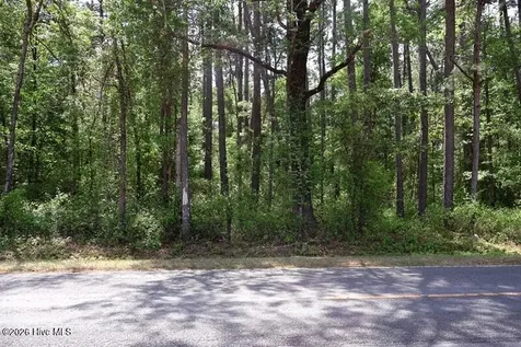 Tbd N Duffie North Road Red Springs NC 28377