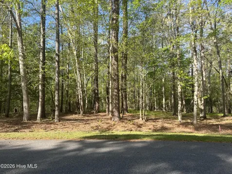 0 Island Drive Chocowinity NC 27817