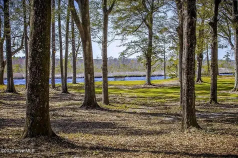 323 Cornubia Drive Castle Hayne NC 28429
