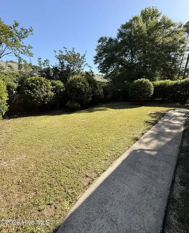 504 Winstead Road Greenville NC 27834