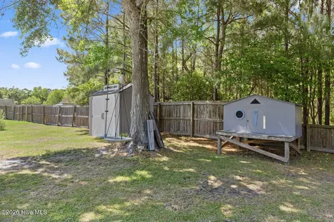 303 N Grazing Court Sneads Ferry NC 28460