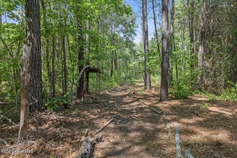 303 N Grazing Court Sneads Ferry NC 28460