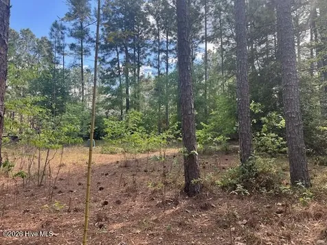 212 Skyline Manor Road Southern Pines NC 28387